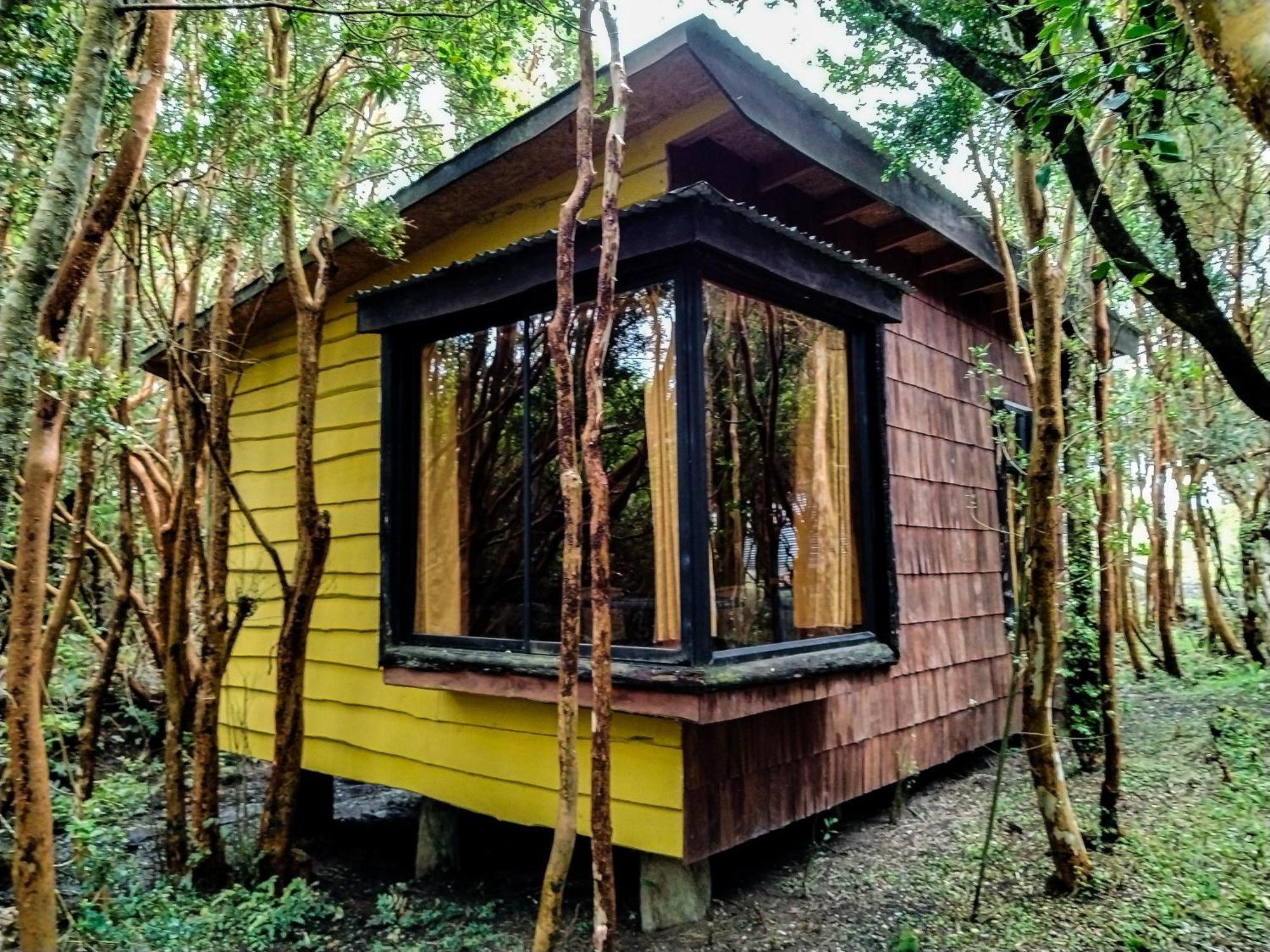 Cucao Hostal & Cabanas Luna Del Sur מראה חיצוני תמונה